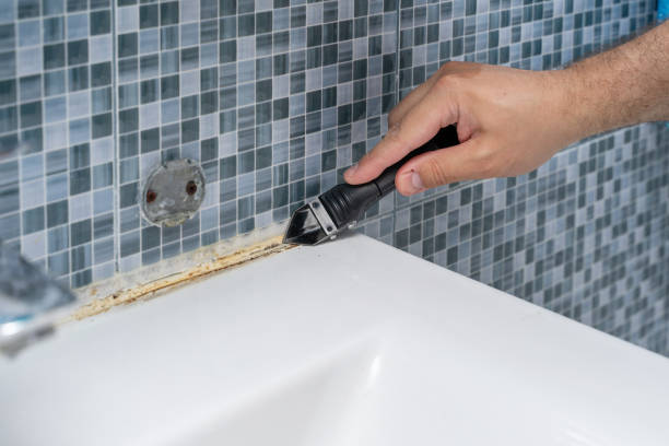 Best Mold Cleaning Services  in Seabrook Island, SC