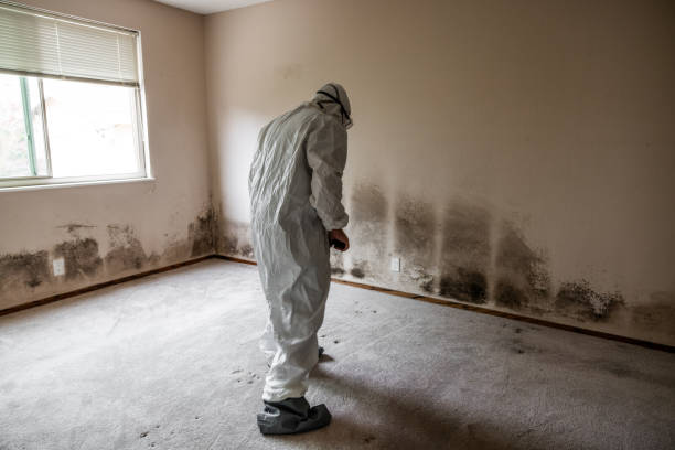 Crawl Space Mold Removal in Seabrook Island, SC